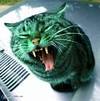 Green_cat