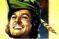 Robin Hood Photo 2