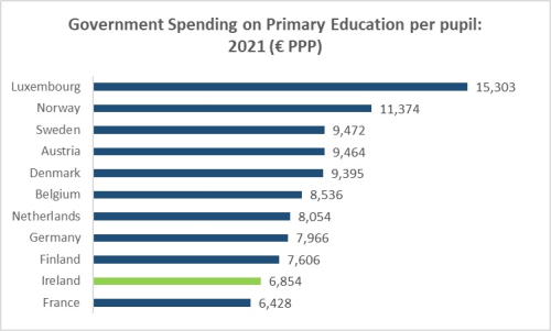 Forest for the Trees